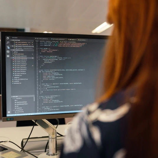 Back view of a woman programmer working on code displayed on a monitor.