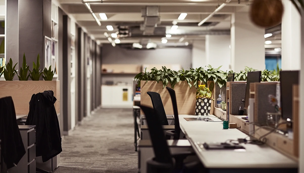 Modern spacious office with desks, indoor plants, and natural lighting