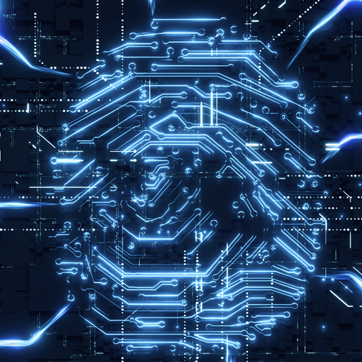 Safety-Critical Automotive Platforms