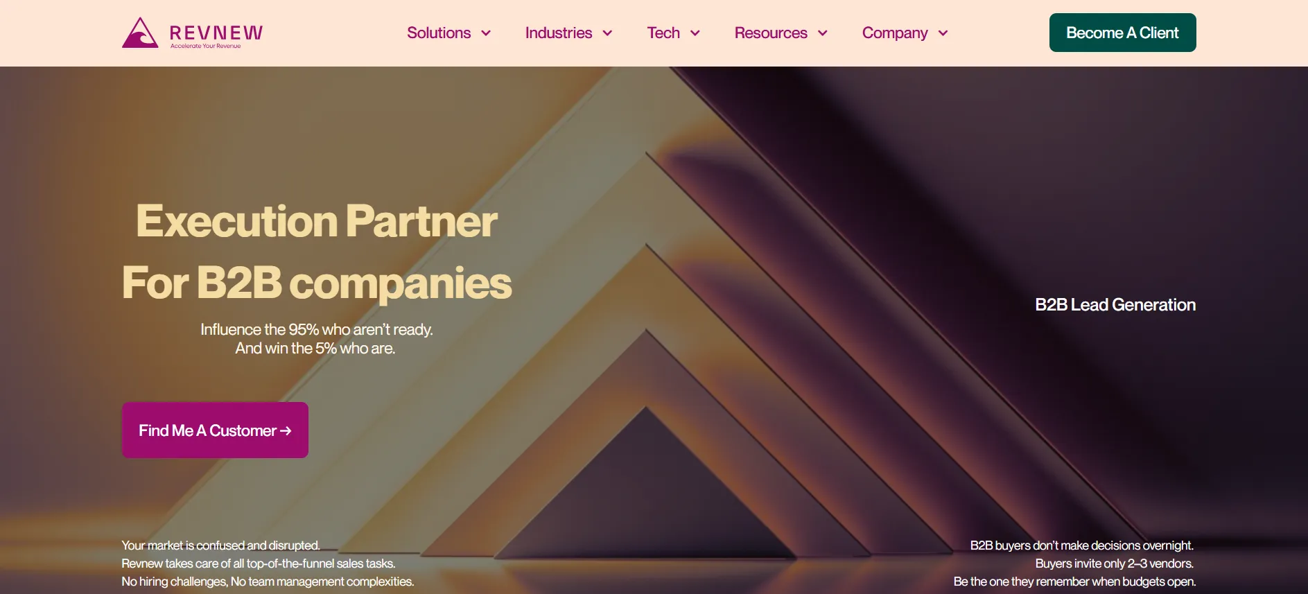 Revnew company overview