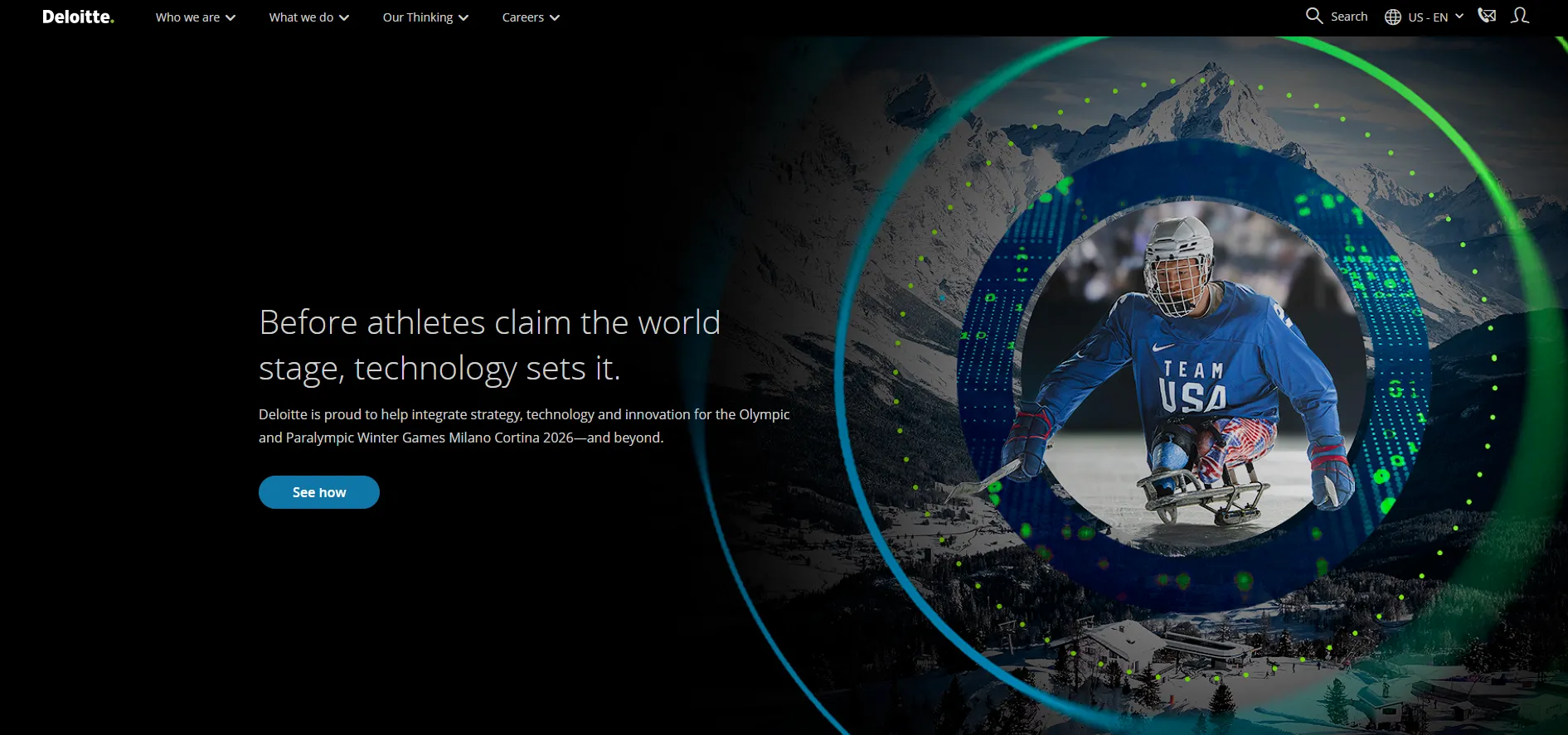 Deloitte company overview