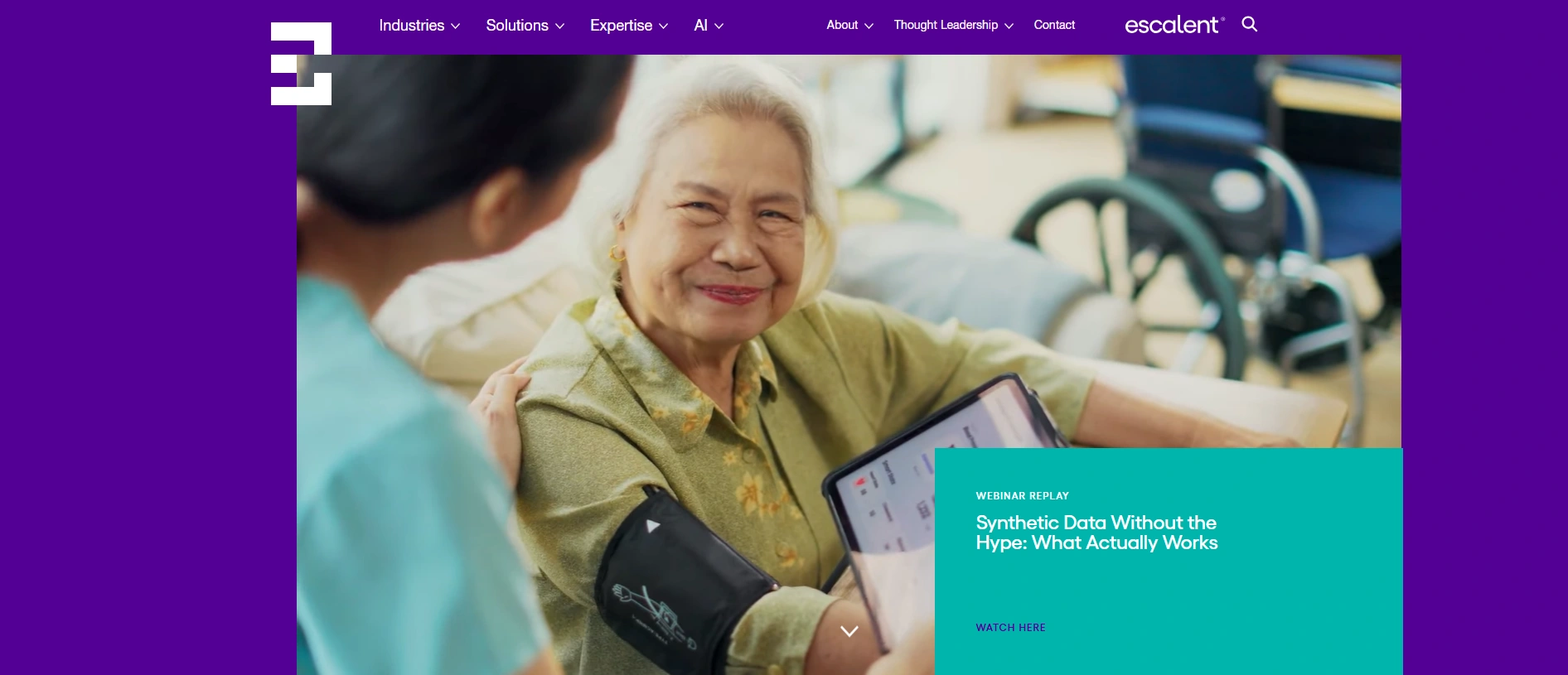 Escalent company overview