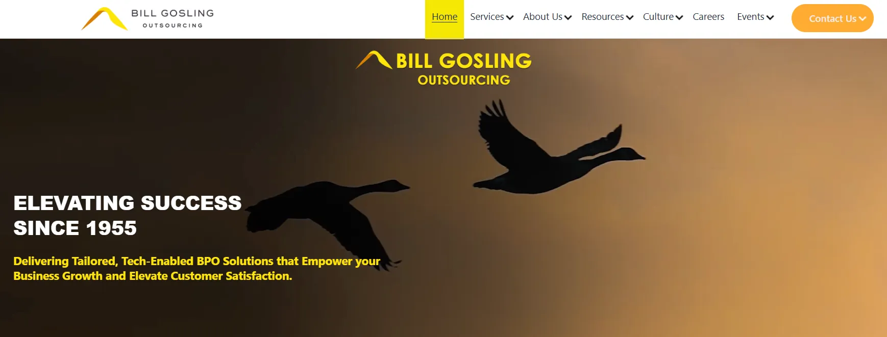 Bill Gosling Outsourcing company overview