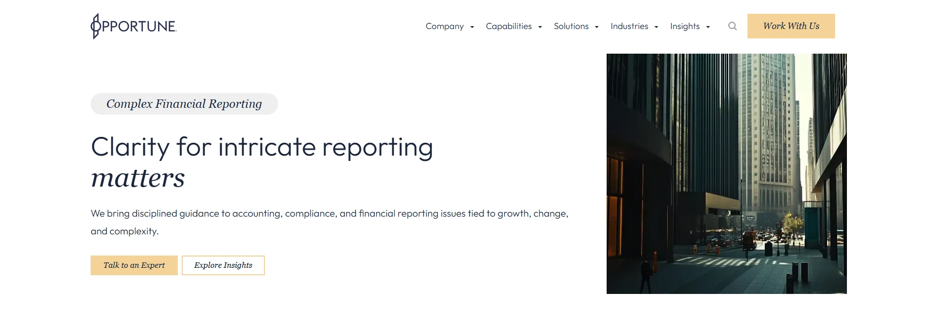 Opportune company overview