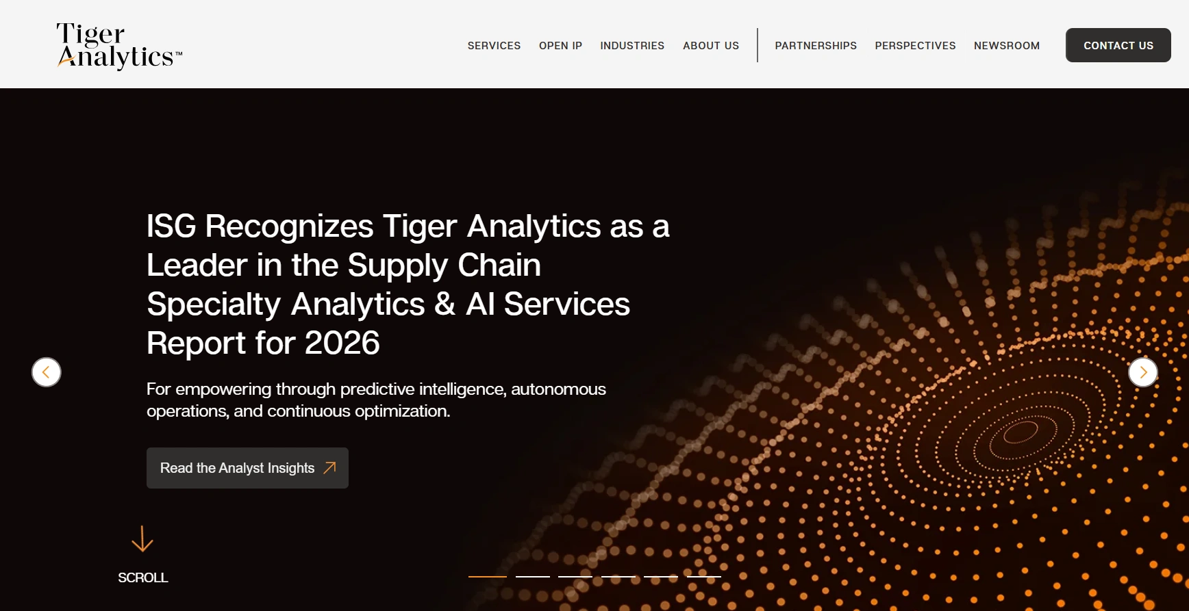 Tiger Analytics company overview